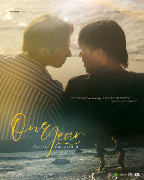 One Year. Fading and Vanishing