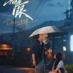 耀眼 14